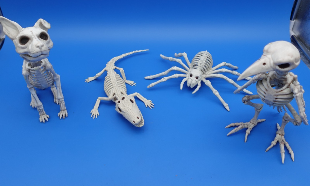 Crazy Bonez Halloween Skeleton Animal Figures Lot of 4 Dog Alligator Spider Bird